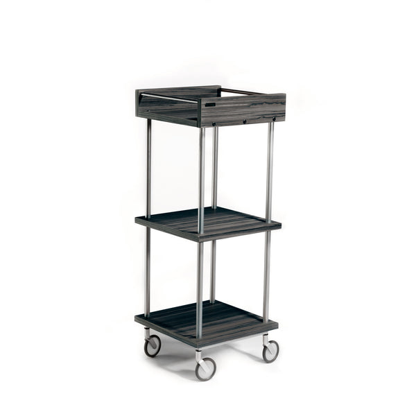 Up Start goes mobile with Transport, a versatile trolley for use at your stylist station or color bar. It features laminate clad wood shelf construction attached to a welded steel frame in a silver powder coat finish. Three shelves with stainless retaining rods on top shelf provide storage and working space.